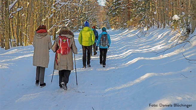 Auch im Winter kann gewandert werden, so gibt es in den tieferen Lagen viele gewalzte Winterwanderwege.