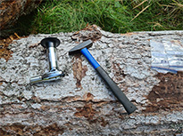 Das Bild zeigt einen Ausschnitt von einem liegenden Tannenstammm, auf dem ein Hammer, ein kleiner Handgasbrenner und zwei Plastiktüten liegen