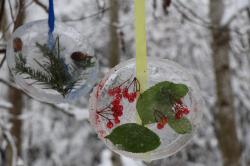 Für Aufhänger aus Eis braucht man nur Wasser und Naturmaterialien wie Blätter, Zapfen oder Beeren. Im Garten sind sie richtige Hingucker. (Foto: Annette Nigl / Nationalpark Bayerischer Wald)