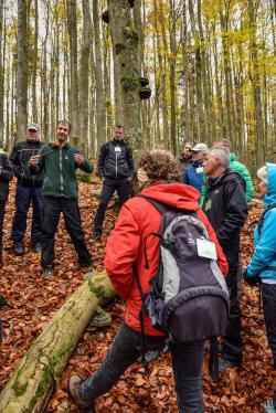 Das Wissen über den Nationalpark wurde den neuen Waldführern unter anderem bei Exkursionen im wilden Wald näher gebracht, wie hier mit Forschungsleiter Jörg Müller.  (Foto: Thomas Michler/Nationalpark Bayerischer Wald)