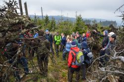 Viele Exkursionen – geleitet von Mitarbeitern des Nationalparks Bayerischer Wald - stehen bei der Ausbildung zum Waldführer auf dem Programm. (Foto: Thomas Michler/Nationalpark Bayerischer Wald)