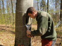 Simon Thorn beim Leeren einer Insektenfalle im Nationalpark Bayerischer Wald. Dadurch kann man Rückschlüsse auf die Artenvielfalt des jeweiligen Gebietes ziehen. (Foto: Simon Thorn /Nationalpark Bayerischer Wald)