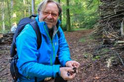 Mykologe Peter Karasch findet mit Trüffelhund Snoopy häufig Hirschtrüffel. Diese sind für Menschen ungenießbar. (Foto: Nationalpark Bayerischer Wald)