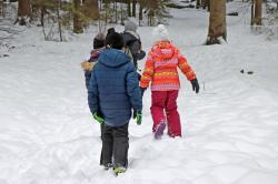 Eine Führung für die ganze Familie gibt ab dem 30. Dezember immer samstags bis einschließlich 17. Februar. (Foto: Nationalpark Bayerischer Wald)