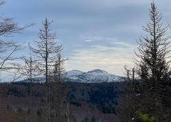 Während der Wanderung am Sonntag, 25. Februar, bietet sich ein toller Blick auf den großen Rachel (Foto: Nationalpark Bayerischer Wald)